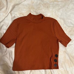 Umber crop top high neck